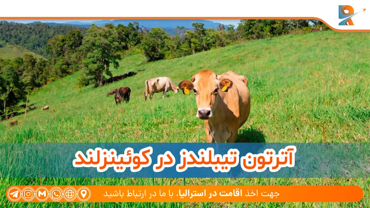 آترتون تیبلندز با زمین‌های حاصلخیز در استرالیا