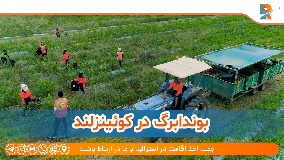 بوندابرگ با مزارع استرالیا