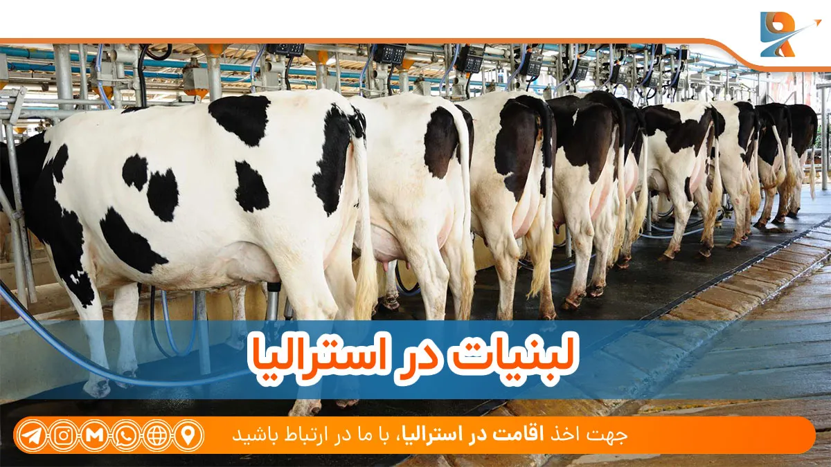 لبنیات از محصولات کشاورزی استرالیا