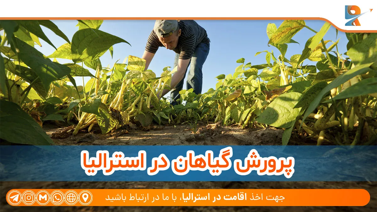 پرورش گیاهان در استرالیا