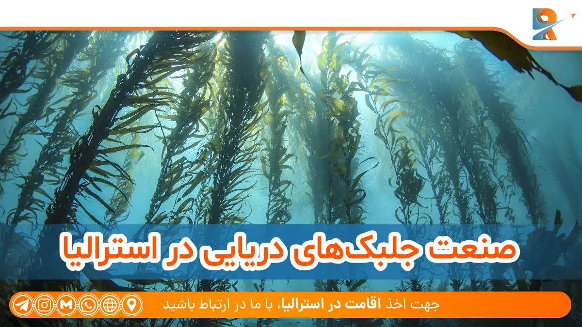 صنعت جلبک های دریایی در استرالیا