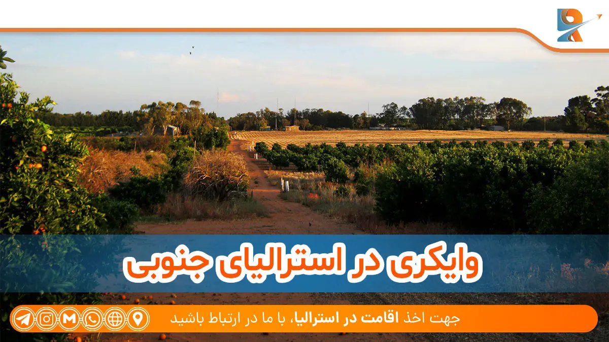 وایکری از مناطق حاصلخیز استرالیا برای کشاورزی
