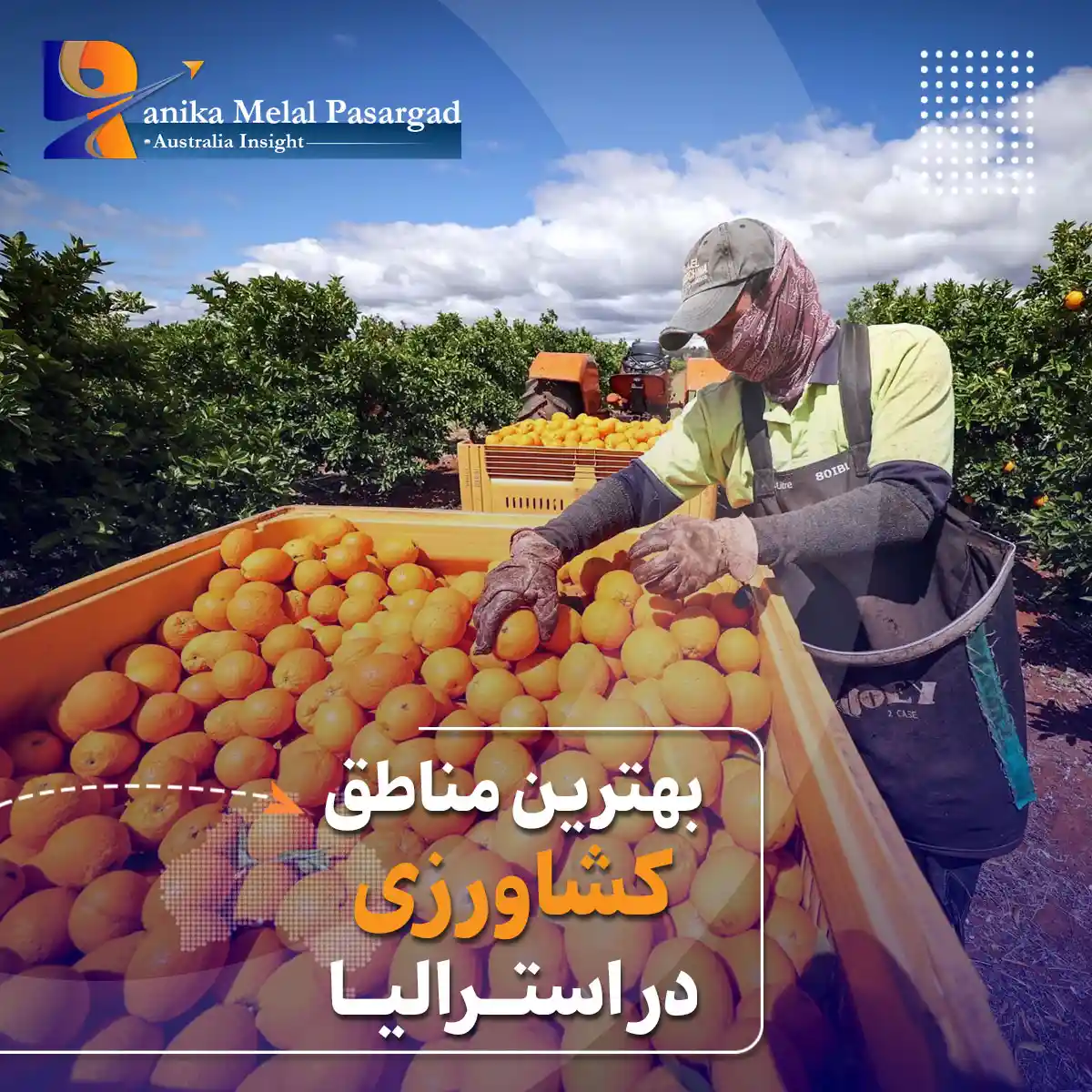 بهترین مناطق کشاورزی استرالیا