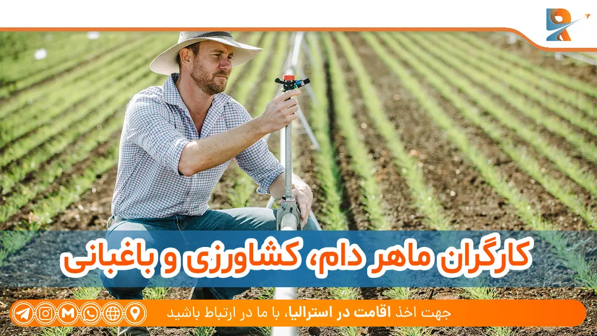 لیست رشته های اسکیل ورکر استرالیا
