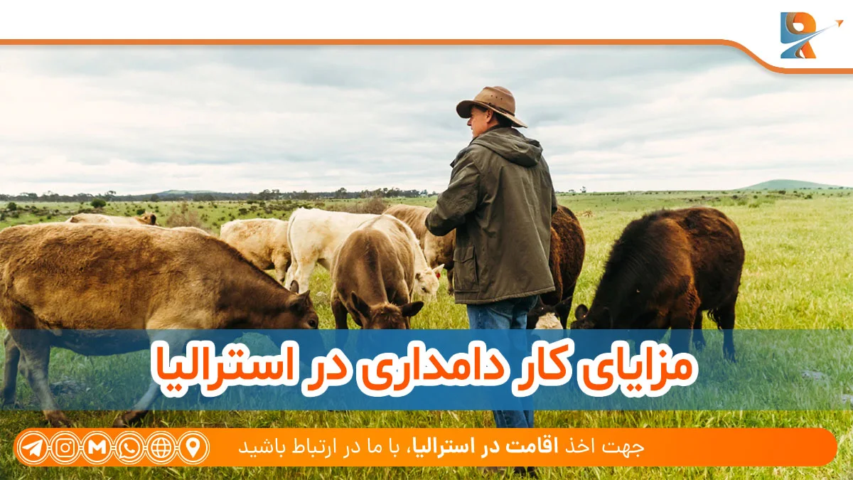مزایای کار دامداری در استرالیا
