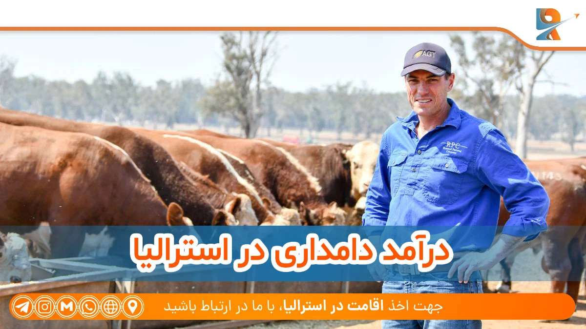 درآمد دامداری در استرالیا