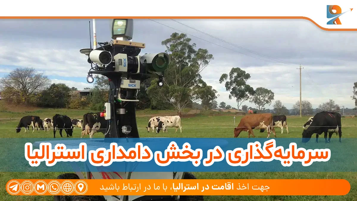 سرمایه‌گذاری در بخش دامداری استرالیا