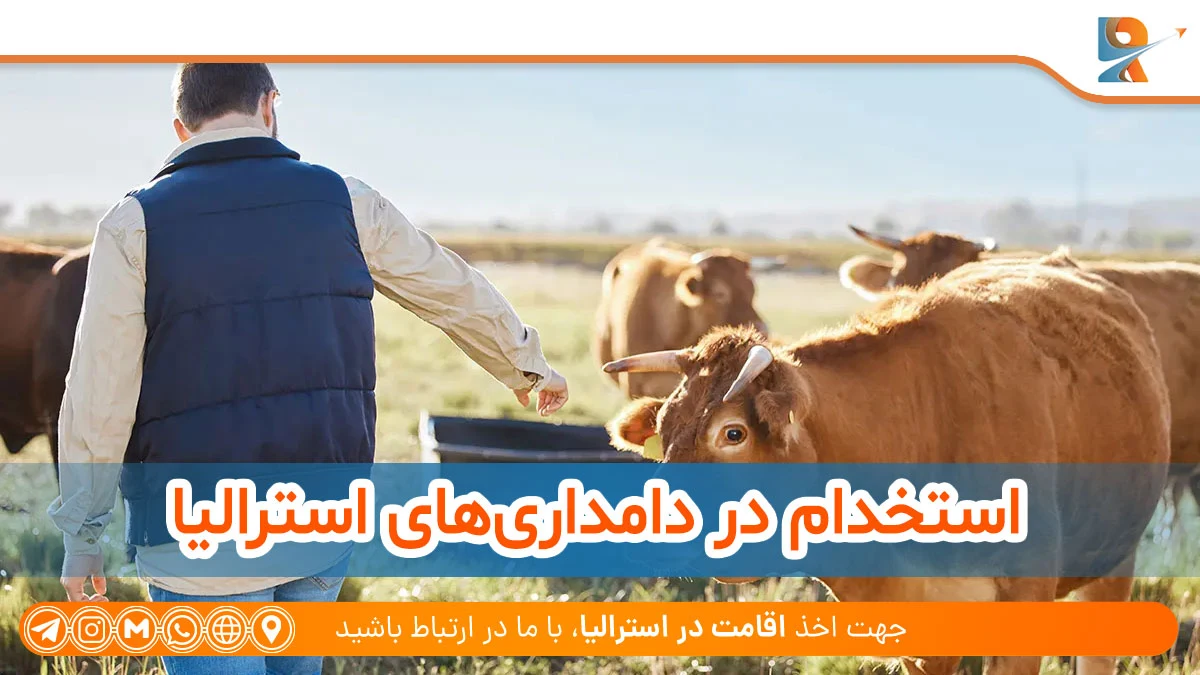 استخدام در دامداری‌های استرالیا