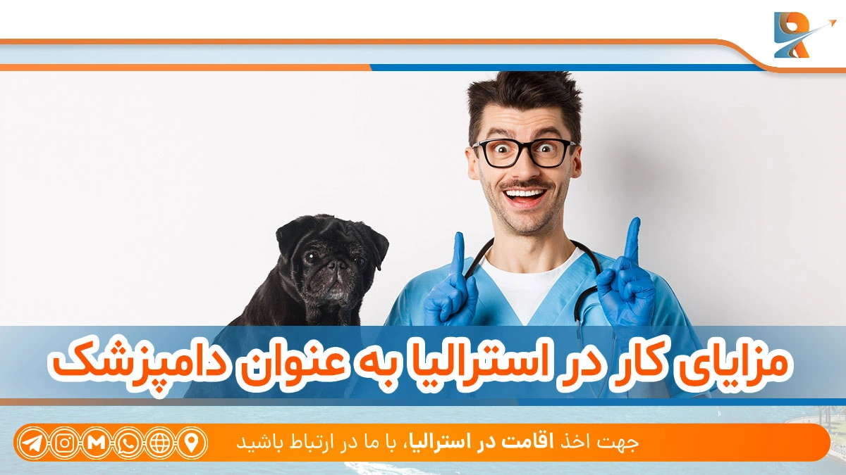 مزایای کار در استرالیا به عنوان دامپزشک